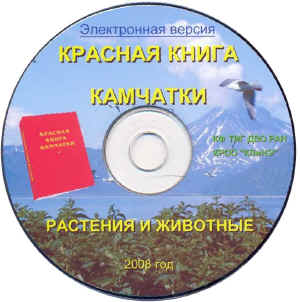 d2_2008.jpg (114671 bytes)