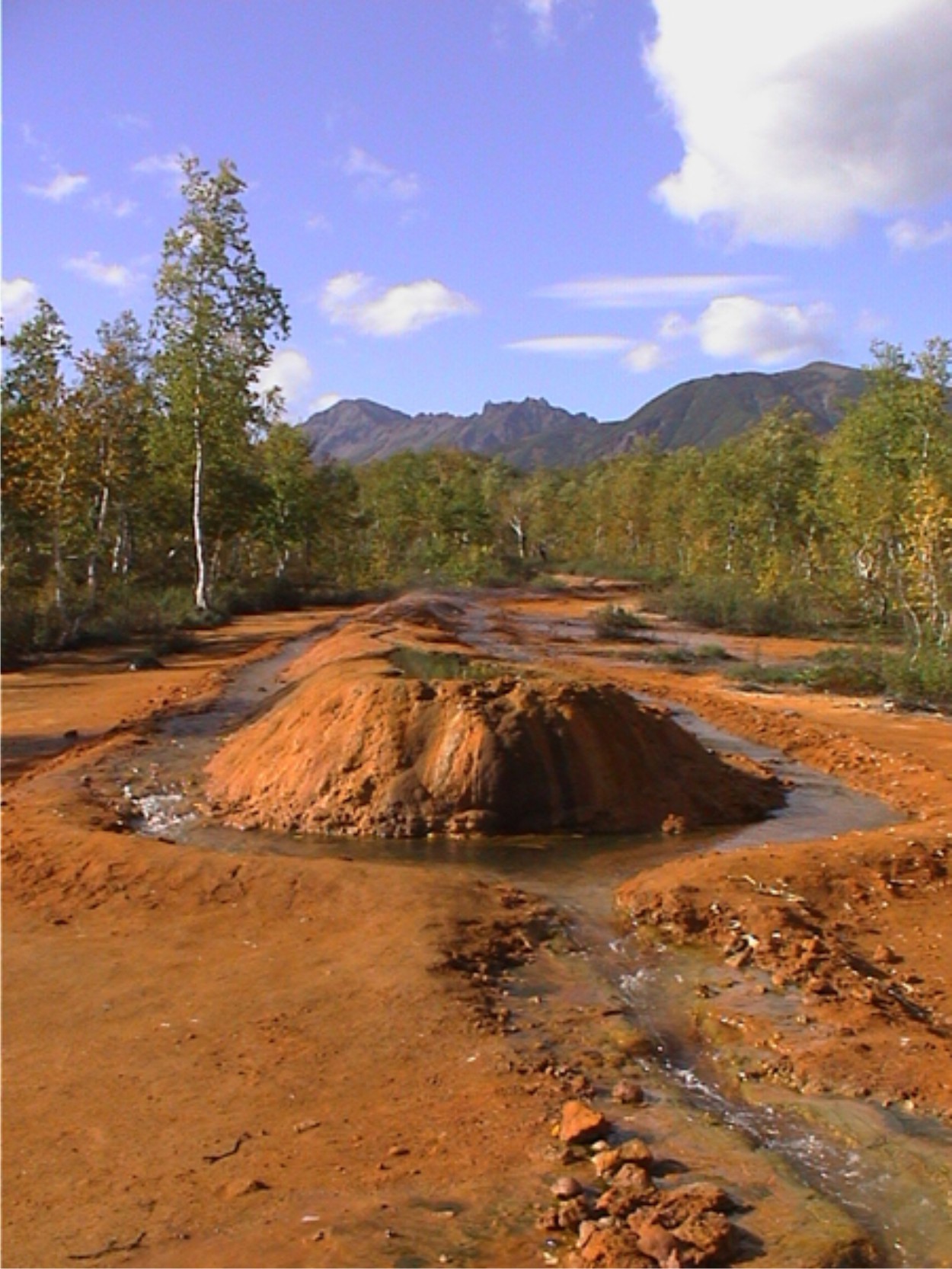 ��������� ���� ���������. ���������� �������� ������ � ������������� �������