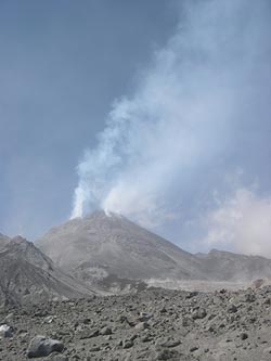 ������ ����������