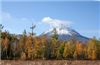 IMG_7822+